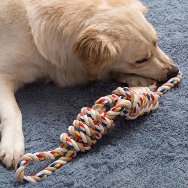 Sustainable Mixed Color Dog Chew Toy for Large Breeds Bite-Resistant Labrador and Golden Retriever Polygonal Stick Rope