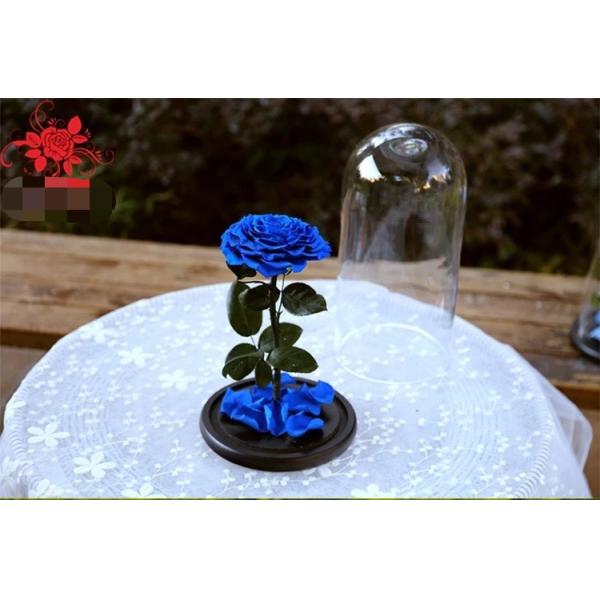 Beautiful Rose Flowers Everlasting Rose Preserved Flower Eternal Rose in Glass