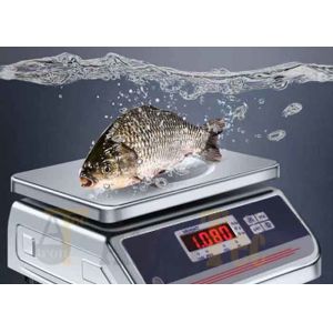 Rechargeable 20kg Waterproof Weighing Scale Pieces Counting