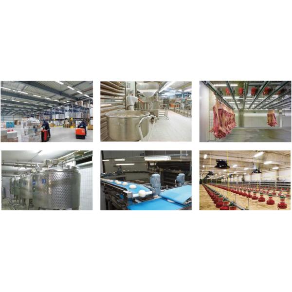 20W 40W 60W 2ft 4ft 5ft LED Tri Proof Lights Ceiling / Hanging Mounted Vapor tight lights