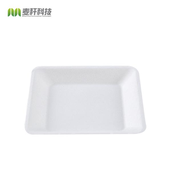 eco friendly box takeaway biodegradable food packaging disposable plates