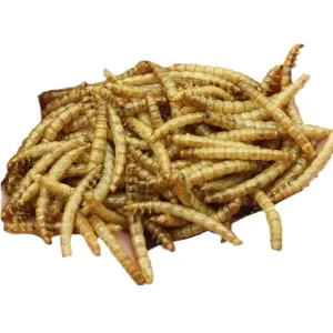 Quality Sino Crown Dried Mealworms Fish Meal - Exceptional Quality from for sale