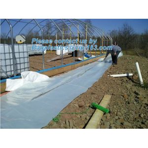 Agricultural PE Film, Agriculture Polyethylene, Film, mulch films, horticultural