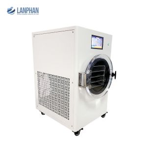 Home Freeze Dryer Sublimation Dehydrator Meat