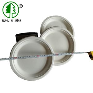 FDA 9in Biodegradable Sugarcane Bagasse Plates Disposable Dishware Wedding Pulp