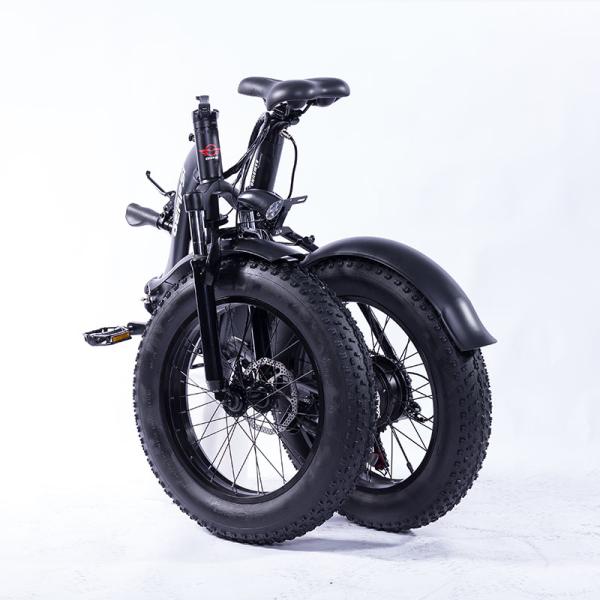 Black 20 Inch Electric Bike , Brushless Motor 36v Fat Wheel Electric Bike