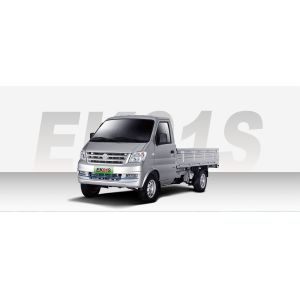 China Brand Electric Mini Truck with Van Ruichi Ek01s Loading Capacity 720kg