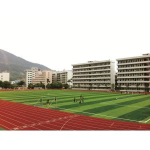 Gardens / Football Artificial Turf Fake Grass Mats Anti-aging Environment