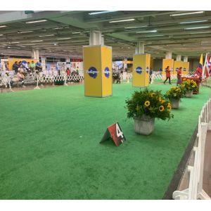 Prefabricated Structural Steel Frame Racecourse Versatile