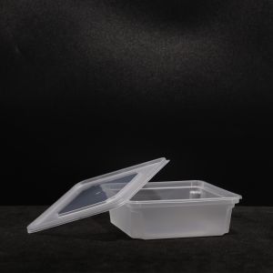 Suitable For Hot And Cold Food Disposable Lunch Box In PP Material