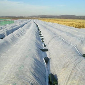 China Breathable Hydrophobic PP Non Woven Fabric Anti Static For Agriculture on sale