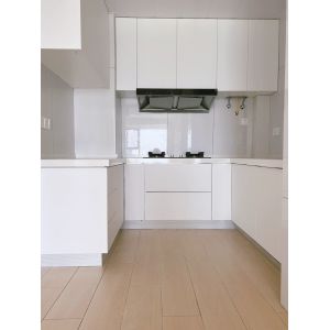 China Factory Kitchen Cabinets with Quartz Granite Countertops