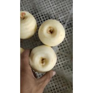 Fruit Peeling Function Commercial Electric Apple Peeler Corer Slicer 2500*1000