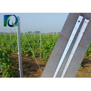Zinc Coated 275G 1.5MM Thickness Vineyard Trellis Posts