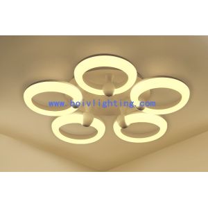 36W Indoor Decprative Iron Modern Ceiling Light LED Lamps