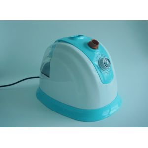 Steam Iron Brush Type Portable Travel Garment Steamer With Lake Blue Color
