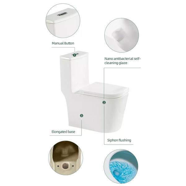 Bowl One Piece Water Closet Jet Siphonic Flushing Compact Elongated Toilet