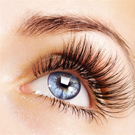 Long Lasting Invisible Band Eyelashes , Black Natural Looking False Eyelashes