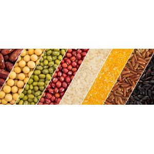 Snack / Bean / Tea / Biscuit Vertical Packing Machine