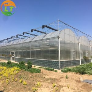 PE Strawberry Insulation Agricultural Greenhouses for Plants Growing and