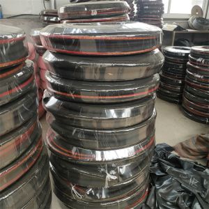 Garden Drinking Water Hose Pipe High Pressure Flexible 1 Inch