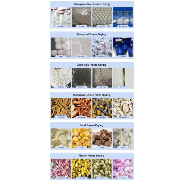 pharmaceutical freeze dryer