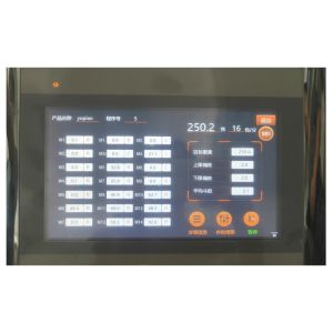 Doypack Auto Fill Seal Pouch Bag Packaging Machine Cuttlefish Seafood Flip Multi