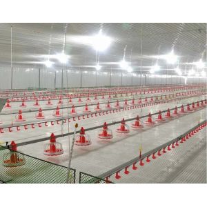 Chicken Farm Chain Automatic Pan Feeding System 1 Phase