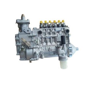 Fuel Injection Pump 04234301 0423 4301 4234301 for DEUTZ BF6L914C TCD914 L06
