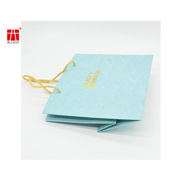 Custom Design Ribbon Handle Blue Jewelry Cosmetic Gift Clothing Shopping Packaging Bag