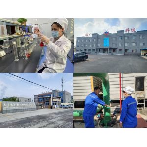 Drilling Grade Polyanionic Cellulose Purity ≥ 99% Factory Supply