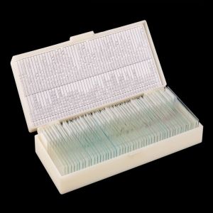 Microscope 50pcs SET Mixed Plant Animal ODM Biology Prepared Slides