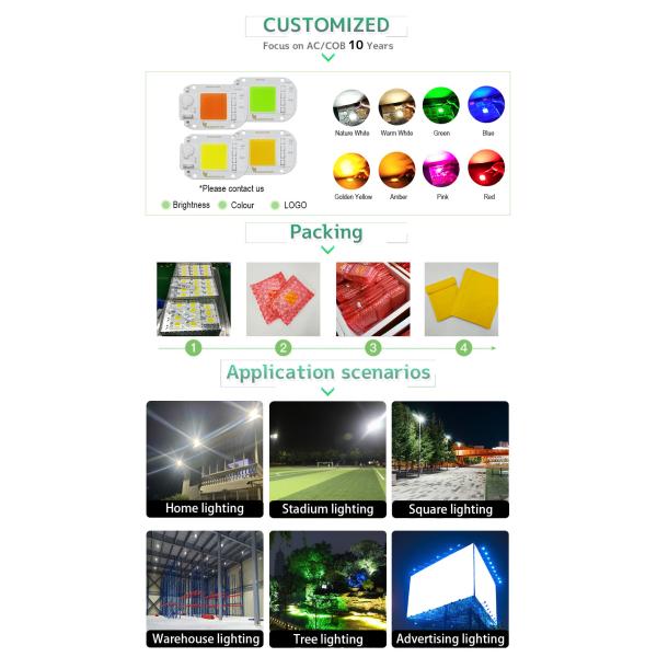 AC COB Flip 50W LED Chip Surge Protect For Landscape Lighting