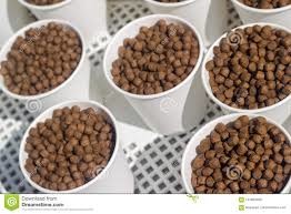 SUS Aquaculture Fish Feed Manufacturing Machine 100kg/H-6t/H