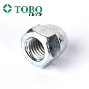TOBO Promotion Stainless Steel Din1587 Cap Nut Stainless Cap Nut