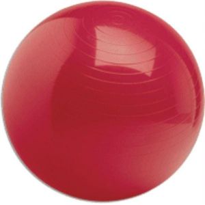 65cm 1200g 300kgs Yoga Fitness Swiss Ball