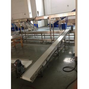 Stainless Steel Belt Conveyor for Candy