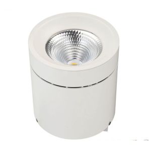20 Watt - 50 Watt LED Surface Mounted Cylinder Downlight With Hanging / Ceiling