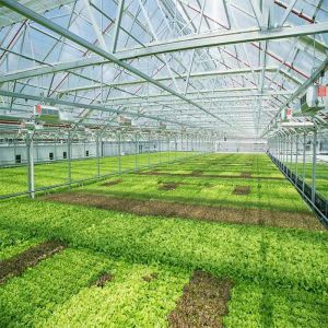 Adjustable Light Sustainable Steel Film Greenhouse Solar System