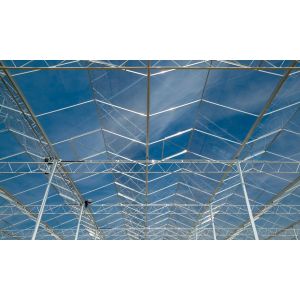 Hot Galvanzied Steel Pipe Agricultural Venlo Glasshouse Turnkey Project