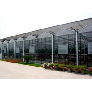 Sturdy Double Pane Greenhouse With Top Ventilation Surrounding Ventilation