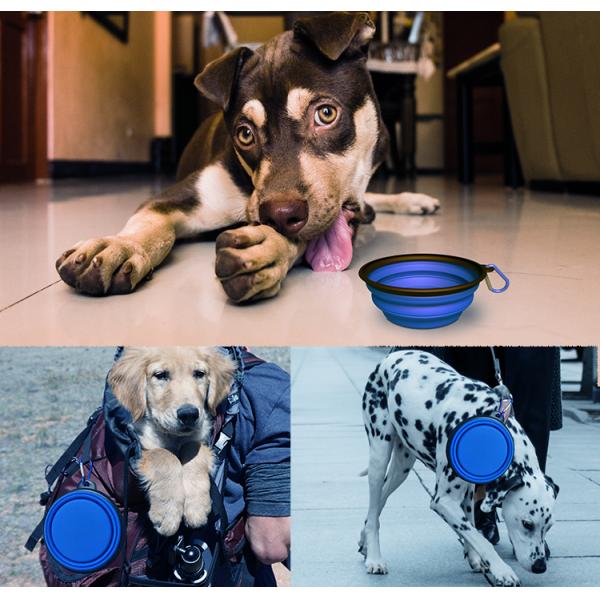 Foldable Travel Pet Water Feeding Bowl Feeder Type Cups Pails Macaron Color Silicone Dog