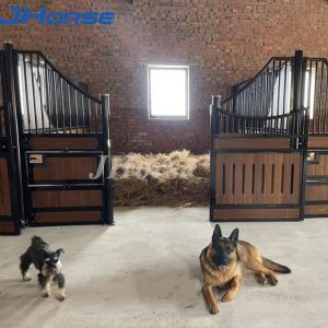 Solid Duty European Horse Barns Luxurious Interior Design