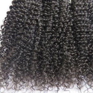 Unprocessed Human Virgin Hair Afro Kinky Curly Pure Brazilian Hair Bundles