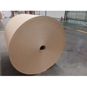 Biodegradable Paper Cup With 12gsm PE Coating 170g-350g GSM Virgin Pulp SGS