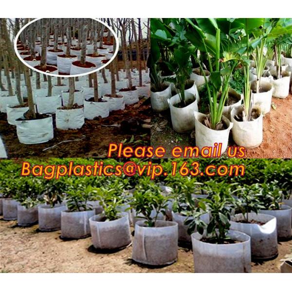 Grow Bags with Flap and Handles Collapsible 10 gallons,garden plant growing pot