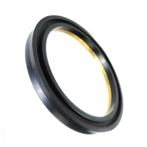 Quality Metal Hydraulic Piston Seal Kit Valve Seal Kit OEM ODM for sale
