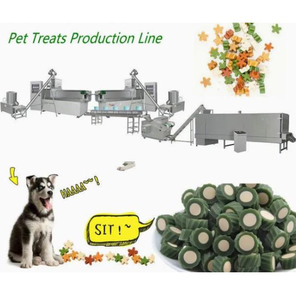 Stainless Steel Pet Food Production Line