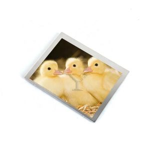 Quality 4.3 inch 480*272 COM43H4M64ULC Tft Lcd Screen Module Lcd Display Screen Tft Lcd Panel In Stock for sale