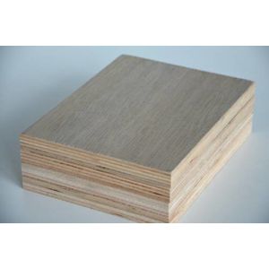 Birch Hardwood Faced Plywood , Environmental Protection Staining Marine Plywood